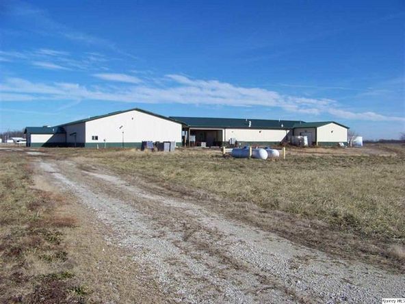 Big River Fish Corporation: 30402 State Highway 107, Griggsville, IL 62340